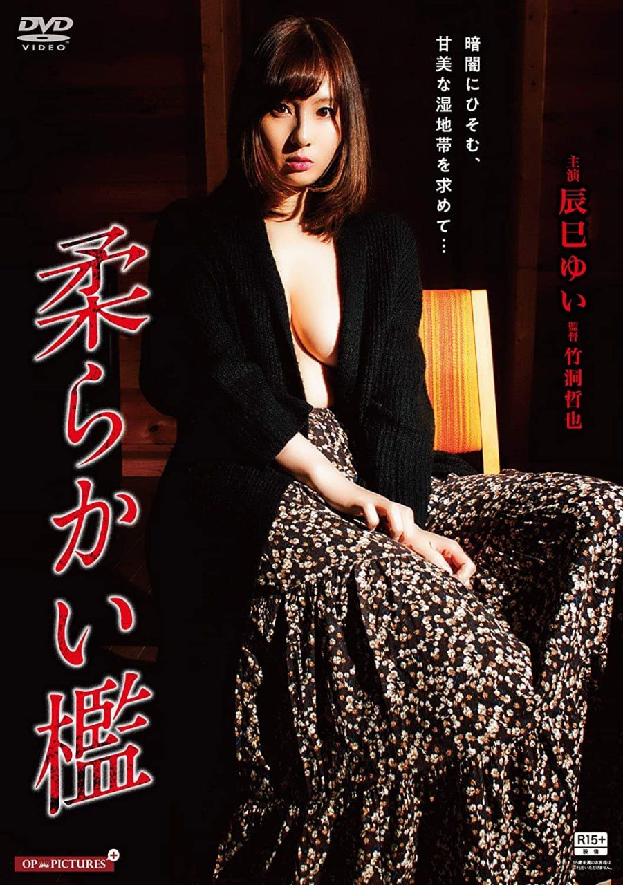 軟禁：深淺行動(dòng)