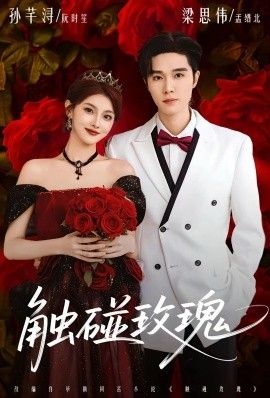 觸碰玫瑰（凌晨四點半，玫瑰花未眠）(全集)