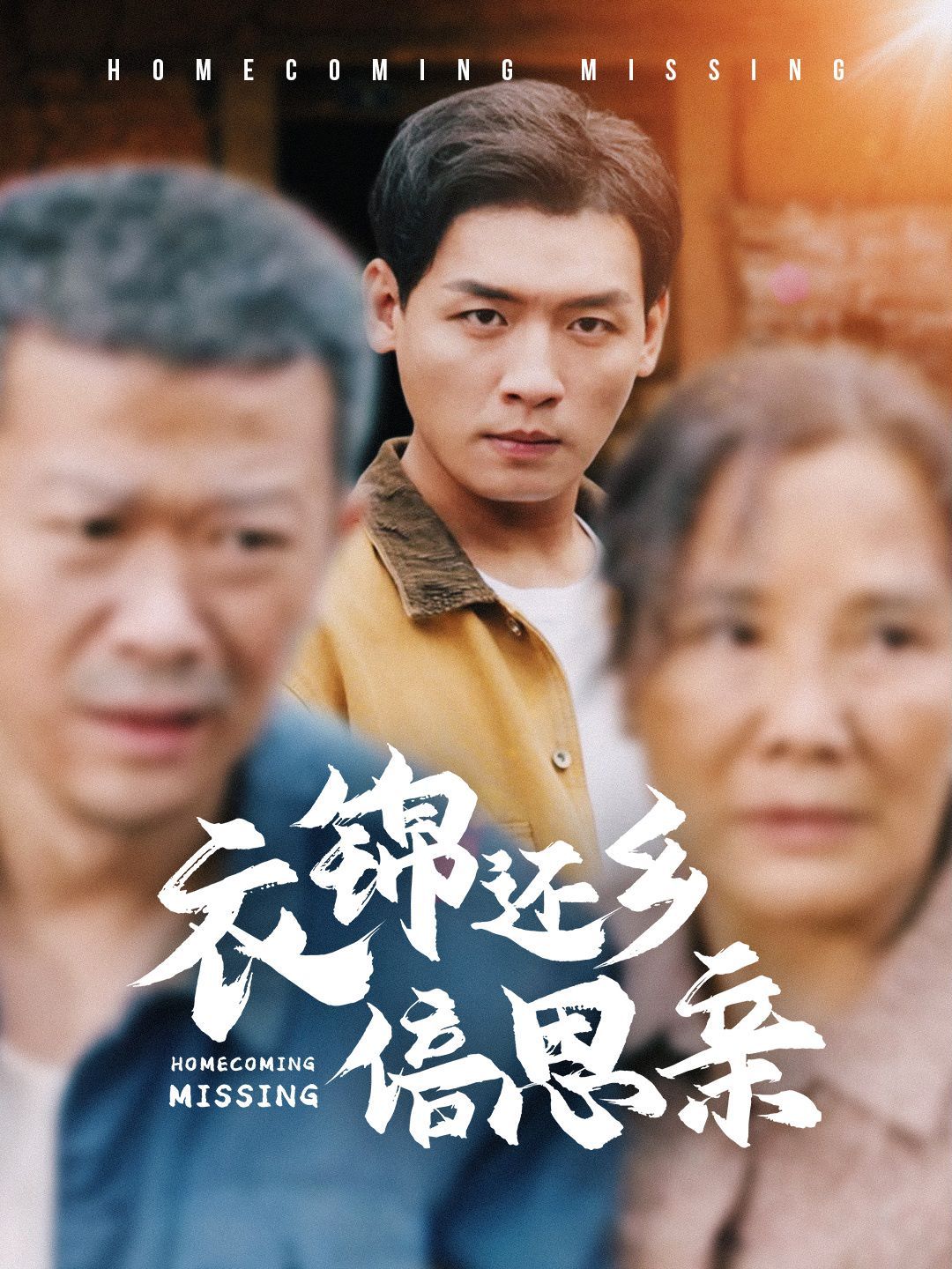 衣錦還鄉倍思親(全集)