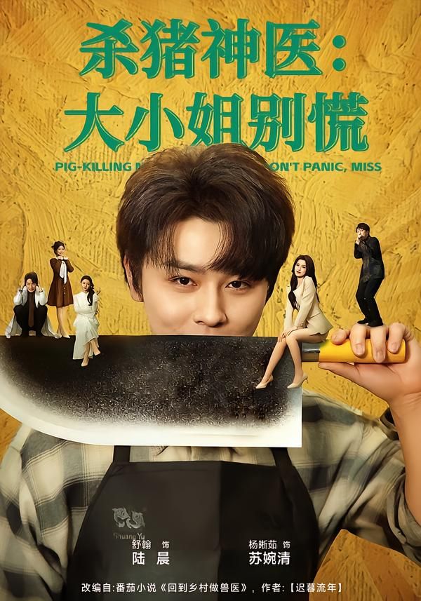 殺豬神醫，大小姐別慌(全集)