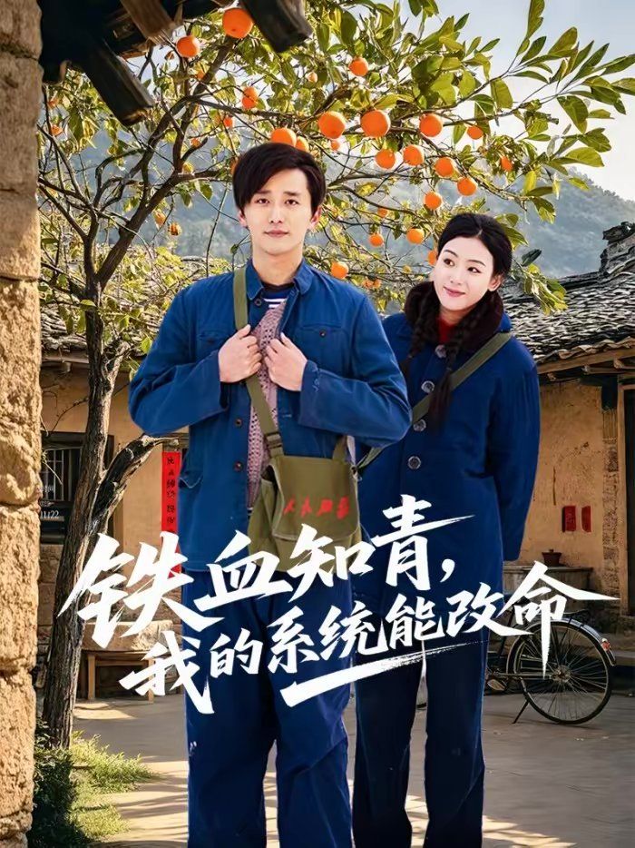 鐵血知青,我的系統(tǒng)能改命(全集)