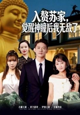 贅蘇家，覺(jué)醒神瞳后我無(wú)敵了(全集)