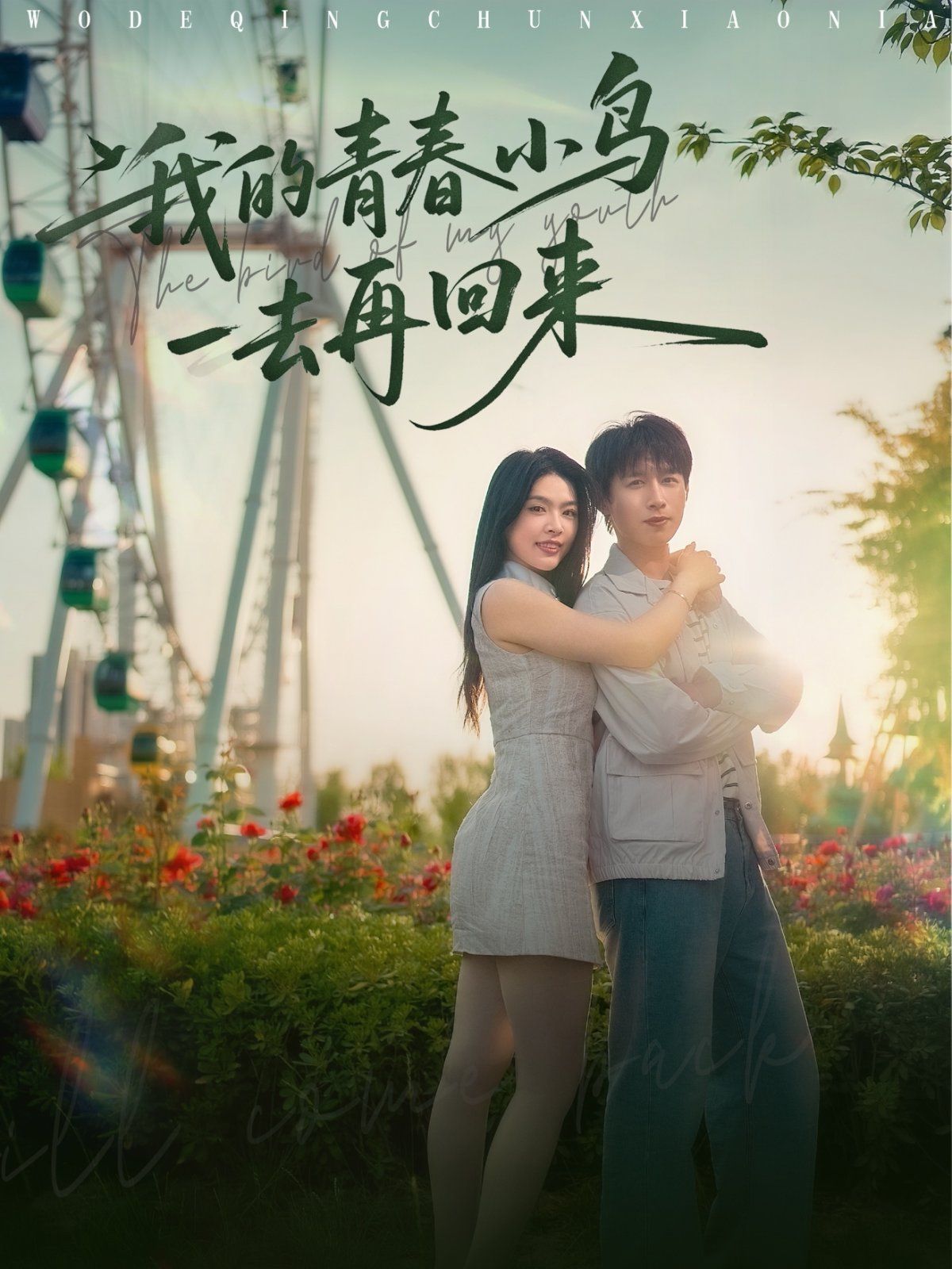 我的青春小鳥一去再回來(全集)