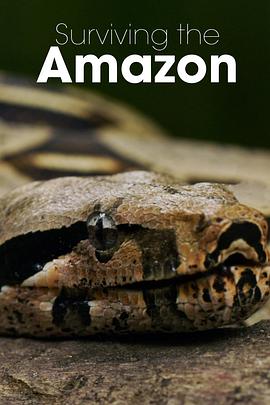 挑戰(zhàn)亞馬遜第一季(全集)