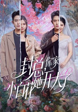 封總，你家小白花她開大了(全集)