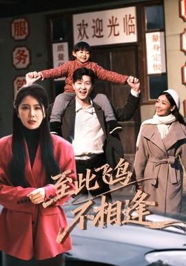 到此飛鳥(niǎo)不相逢(全集)